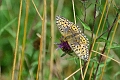 08 08 13_6464_edited-1